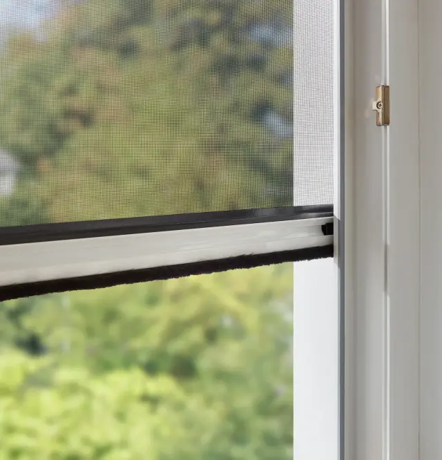 Nahaufnahme Fliegengitter Fenster