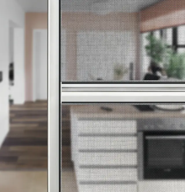 Close-up of insect screen
