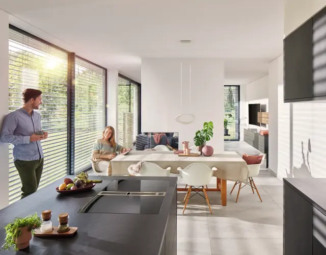 Brise-soleil orientables lumière du jour confort intérieur protection solaire WAREMA