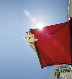 Tag der offenen Tür im Sun Forum in Wertheim