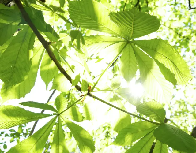 CO2-Emissionen & Ressourcenschonung bei WAREMA