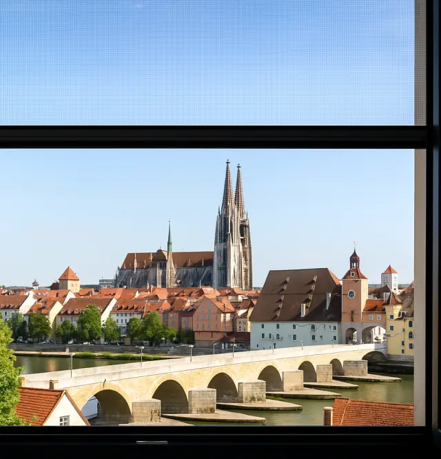 Effektiver Insektenschutz für Ihr Zuhause in Regensburg 